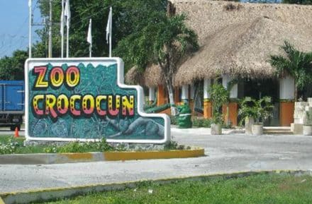 CROCOCUN7-440x289-1